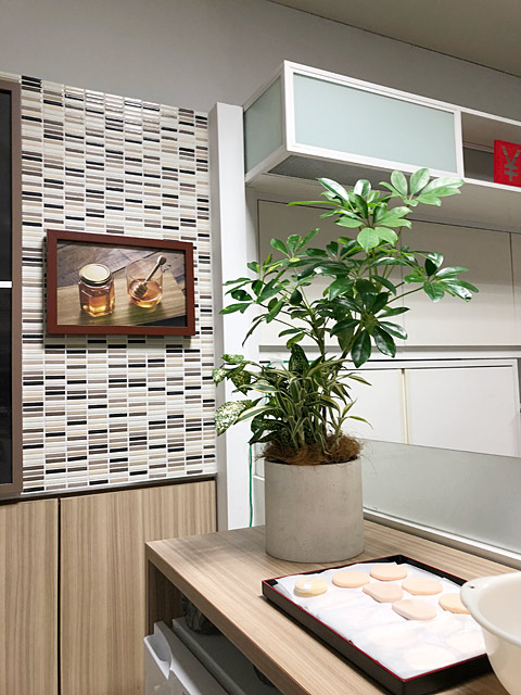レンタル設置例-観葉植物レンタルをオフィスや飲食店の間仕切りとして使用した例